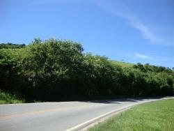 Área para Venda em Saquarema - 4
